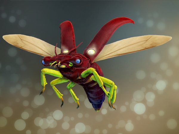 Fly Insect